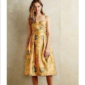 Anthropologie James Coviello Botanica Floral Pleated Fit & Flare Dress Women’s 2